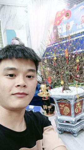 Ca trần