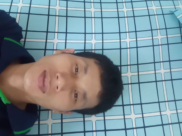 Luật