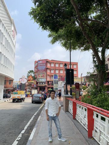 Ngựa con