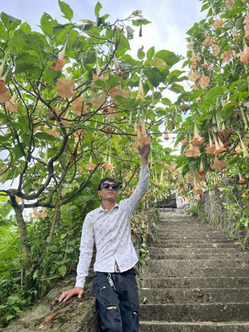 Hồng Sơn