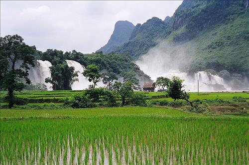 Sương Mờ