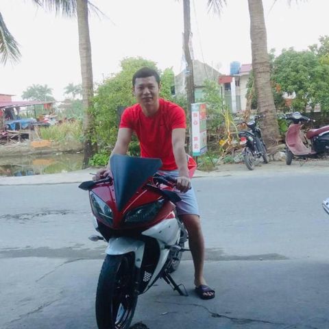 Việt Anh