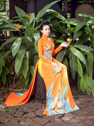 Thanh Bình