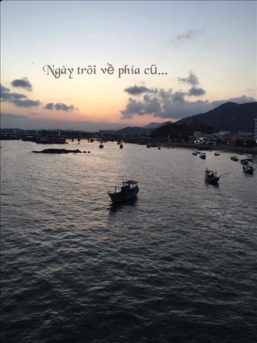 Gỗ