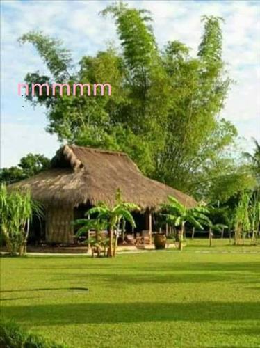 MONG CHỜ .