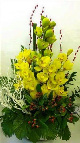 Thanh