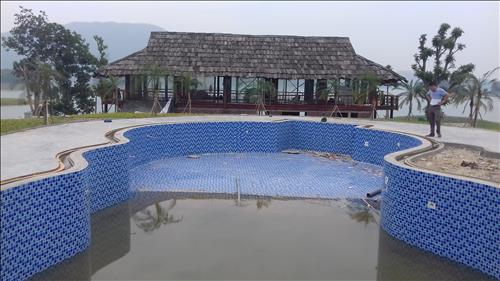 Gà con tập gáy