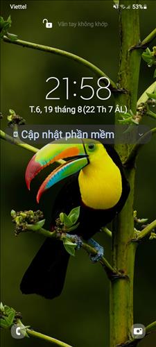 TUẤN ANH
